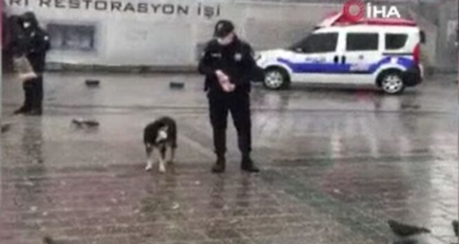 Polislerden örnek davranış, kar yağışında sokak hayvanlarını beslediler