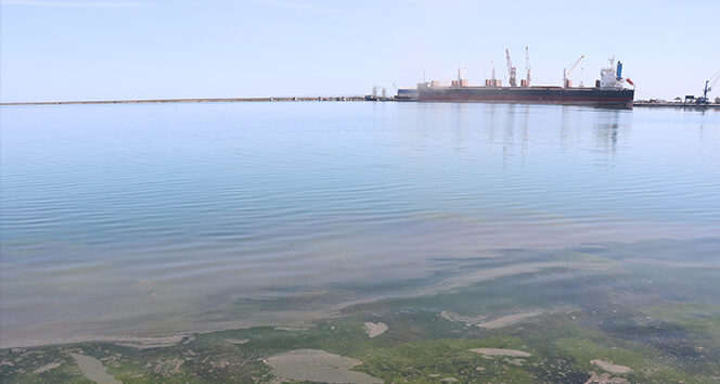 Samsun Limanı’nda tedirgin eden kirlilik: Gözler gemilerde
