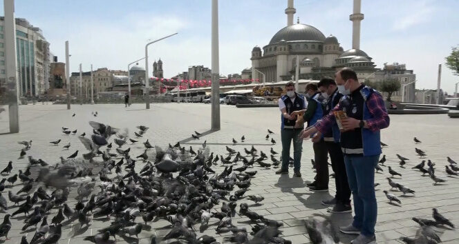Taksim meydanı 1 Mayısta kuşlara kaldı