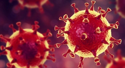 Türkiyede son 24 saatte 6.454 koronavirüs vakası tespit edildi