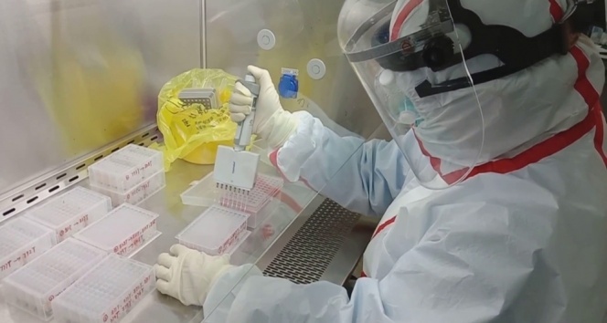 Türkiye’de son 24 saatte 5.955 koronavirüs vakası tespit edildi