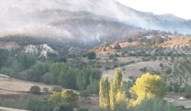 Ankara Çubuk’ta orman yangını
