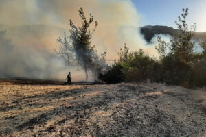 Balıkesir'deki orman yangını kontrol altına alındı