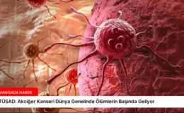 TÜSAD: Akciğer Kanseri Dünya Genelinde Ölümlerin Başında Geliyor