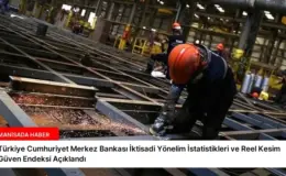 Türkiye Cumhuriyet Merkez Bankası İktisadi Yönelim İstatistikleri ve Reel Kesim Güven Endeksi Açıklandı