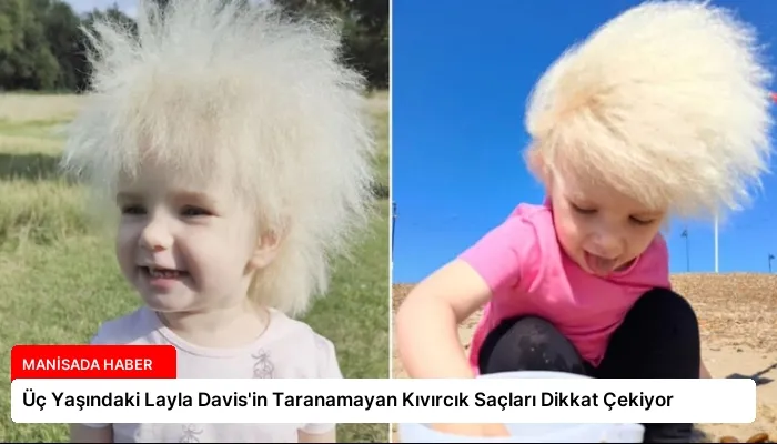 Üç Yaşındaki Layla Davis’in Taranamayan Kıvırcık Saçları Dikkat Çekiyor
