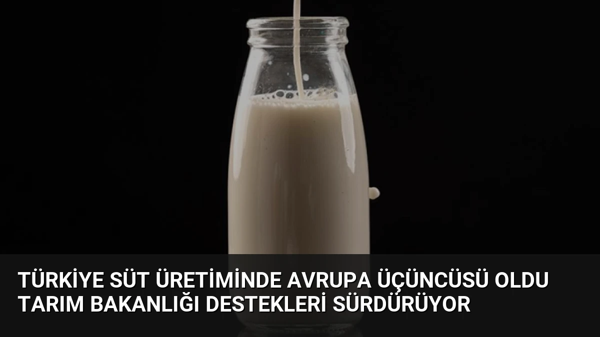 Türkiye Süt Üretiminde Avrupa Üçüncüsü Oldu Tarım Bakanlığı Destekleri Sürdürüyor