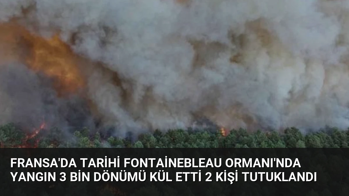 Fransa’da Tarihi Fontainebleau Ormanı’nda Yangın 3 Bin Dönümü Kül Etti 2 Kişi Tutuklandı