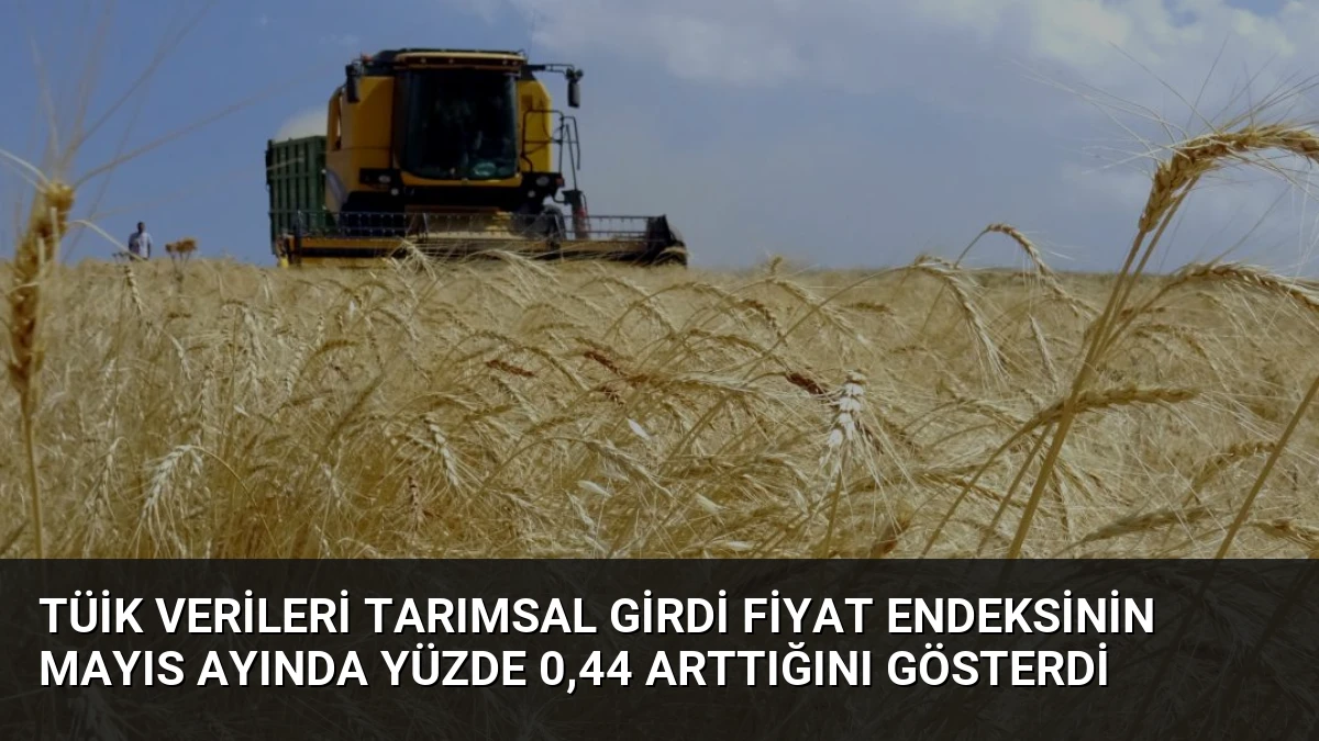 TÜİK Verileri Tarımsal Girdi Fiyat Endeksinin Mayıs Ayında Yüzde 0,44 Arttığını Gösterdi
