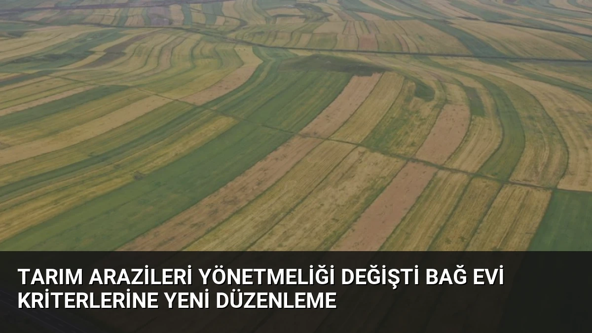 Tarım Arazileri Yönetmeliği Değişti Bağ Evi Kriterlerine Yeni Düzenleme