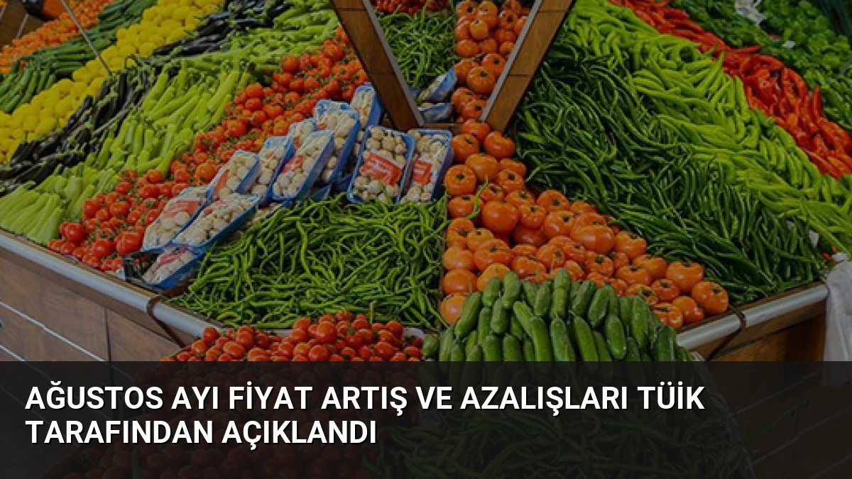 Ağustos Ayı Fiyat Artış ve Azalışları TÜİK Tarafından Açıklandı