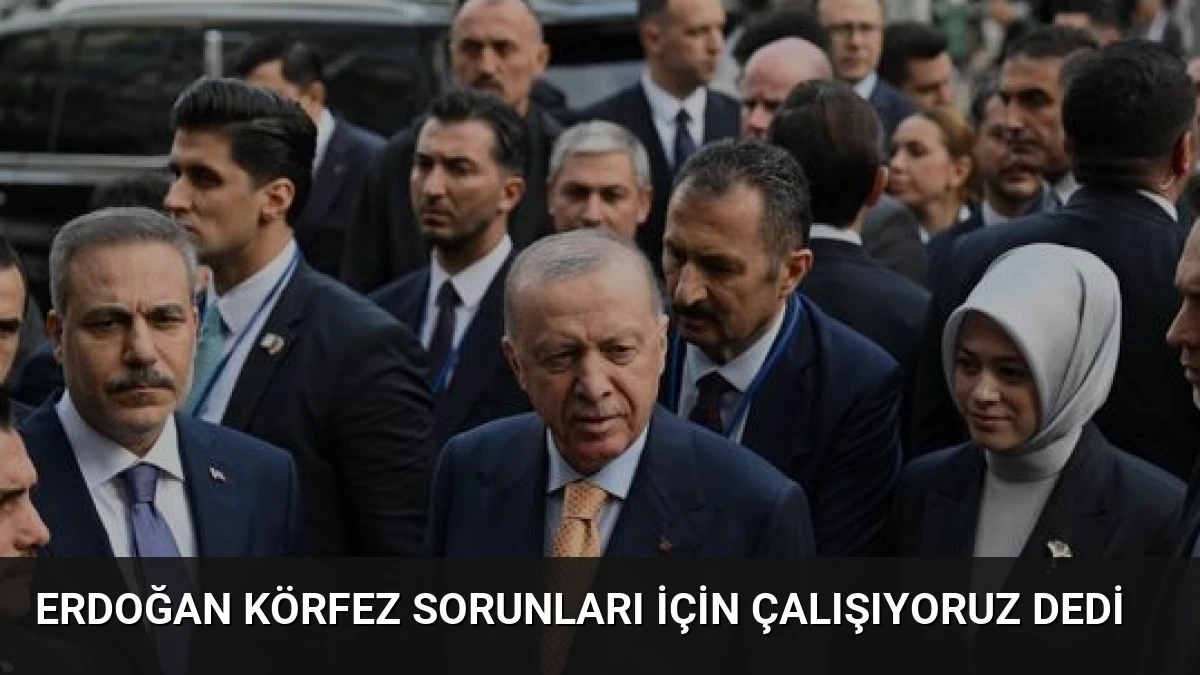 Erdoğan Körfez Sorunları İçin Çalışıyoruz Dedi