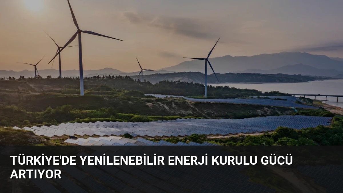 Türkiye’de Yenilenebilir Enerji Kurulu Gücü Artıyor
