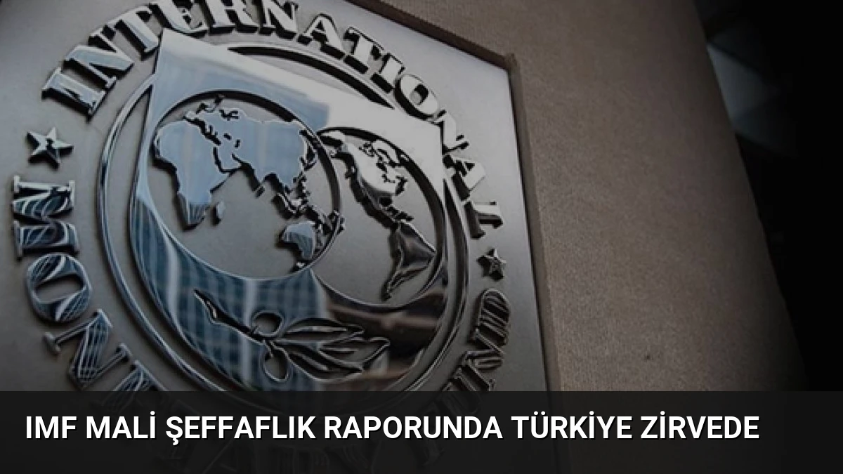 IMF Mali Şeffaflık Raporunda Türkiye Zirvede